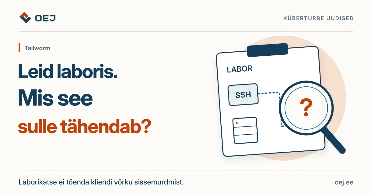 Luup uurib laboriskeemi, millel on SSH-ühendus ja serverid. Uurimistulemus ei tõenda kliendi võrku sissemurdmist.